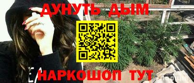 скорость Гатчина